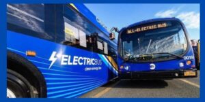 Blue Electric Buses