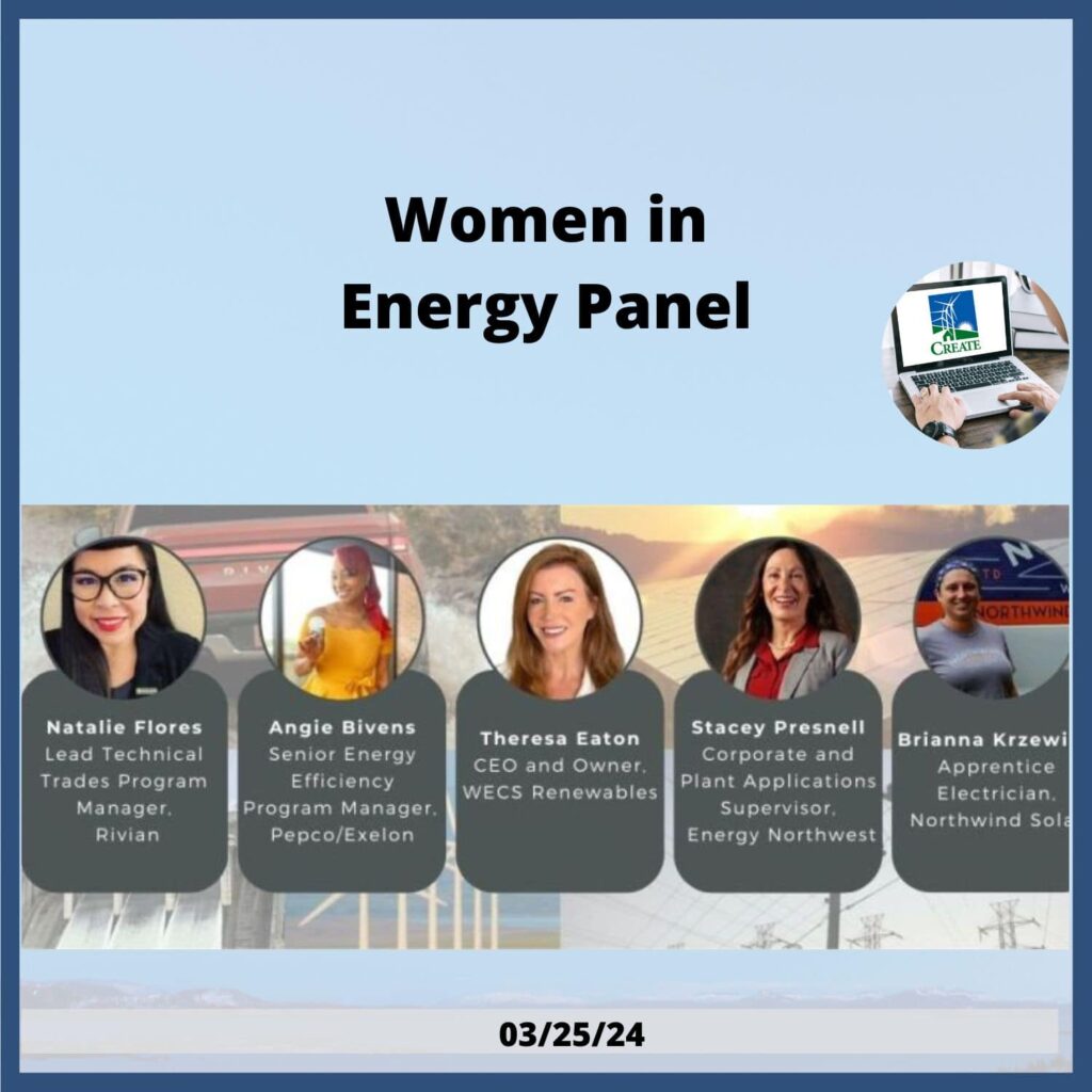 Women in Energy Panel