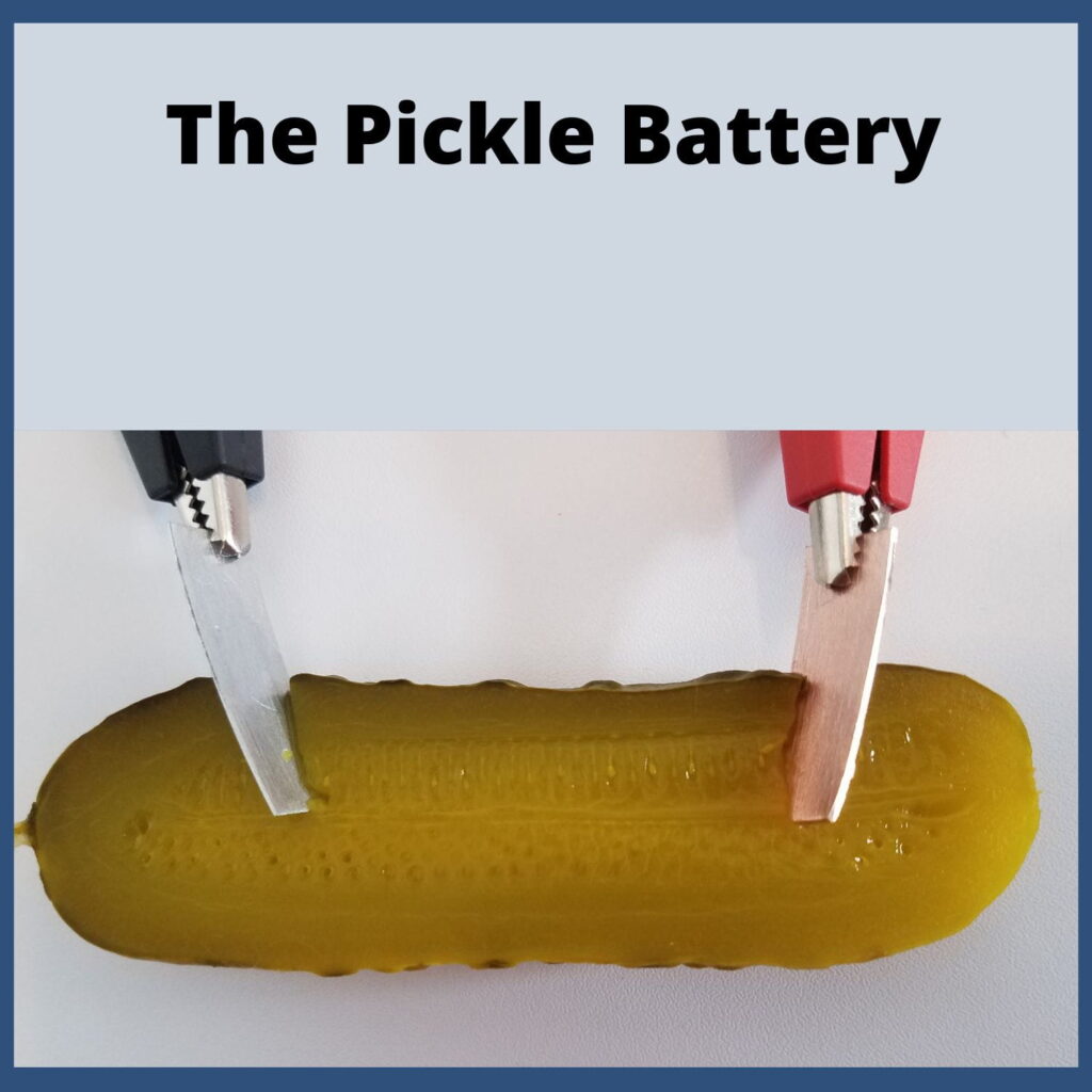 The Pickle Battery - Pickle with chargers.