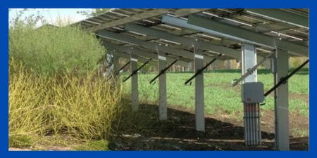 Ground mounted solar and bushes.